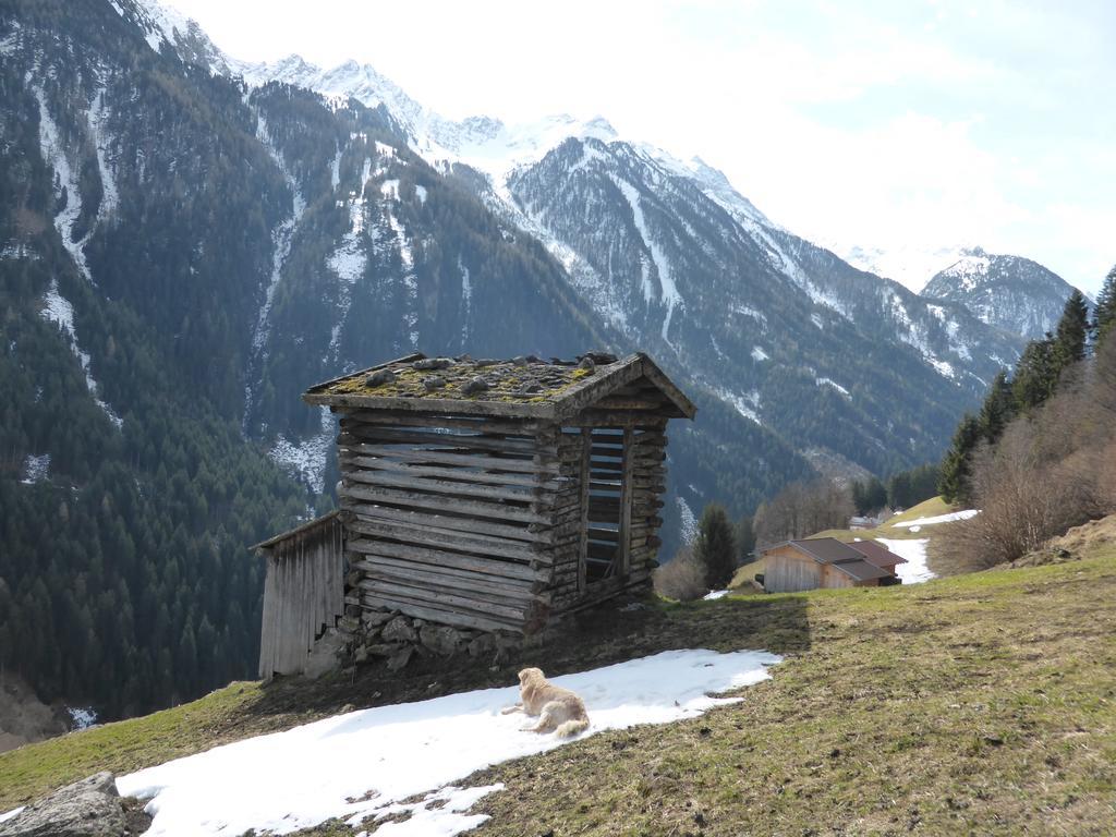 Pension Steinadler Neustift im Stubaital Eksteriør bilde